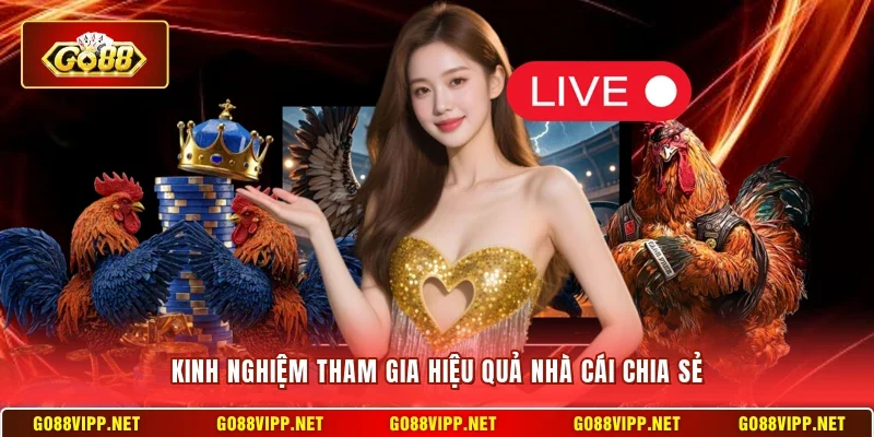 Đá Gà Go88 - Sơ Lược Các Loại Hình Thú Vị Hàng Đầu Hiện Nay 4 Sunwin Kinh nghiệm tham gia hiệu quả nhà cái chia sẻ