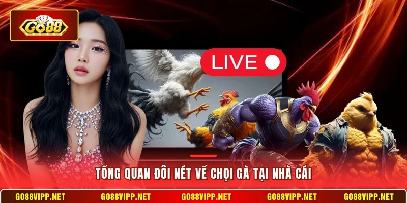 Đá Gà Go88 - Sơ Lược Các Loại Hình Thú Vị Hàng Đầu Hiện Nay 2 Sunwin Tổng quan đôi nét về chọi gà tại nhà cái